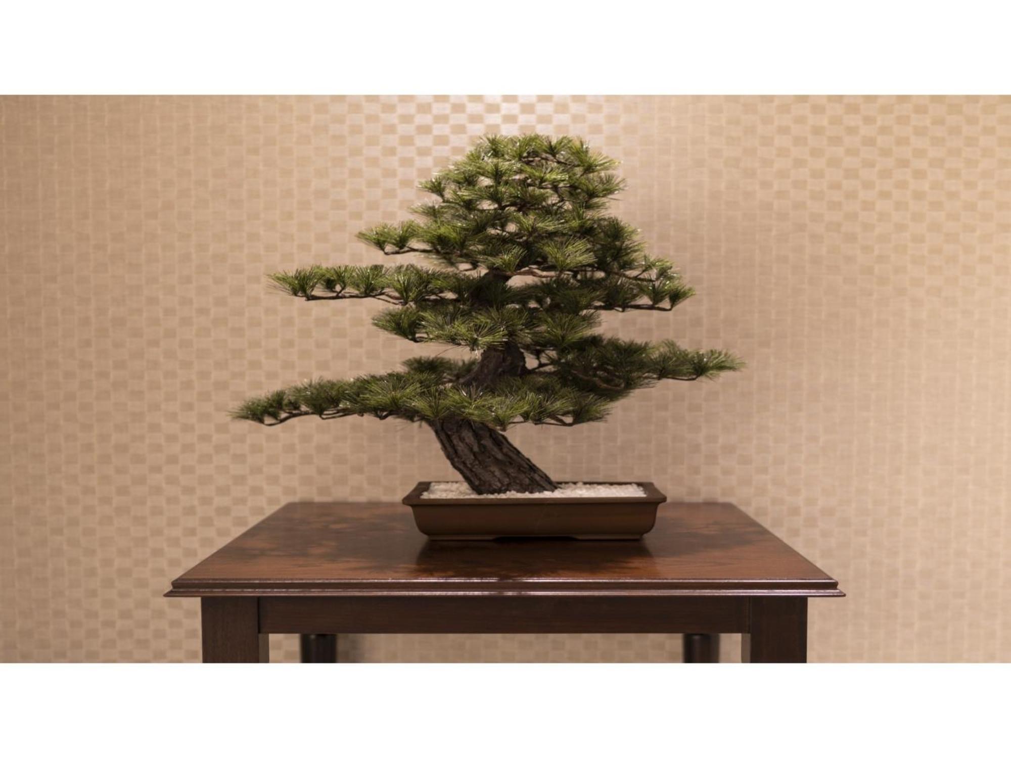 La'Gent Stay Hakodate Ekimae - Vacation Stay 75062V Екстер'єр фото